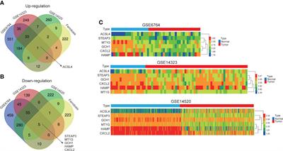 Application of genomic selection and experimental techniques to predict cell death and immunotherapeutic efficacy of ferroptosis-related CXCL2 in hepatocellular carcinoma